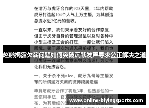 赵鹏揭露欠薪问题如何突破沉默发声寻求公正解决之道 赵鹏揭露欠薪问题如何突破沉默发声寻求公正解决之道