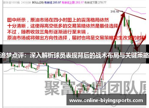 追梦点评：深入解析球员表现背后的战术布局与关键策略