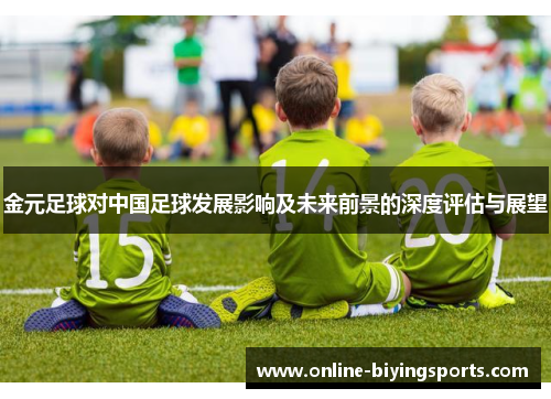 金元足球对中国足球发展影响及未来前景的深度评估与展望